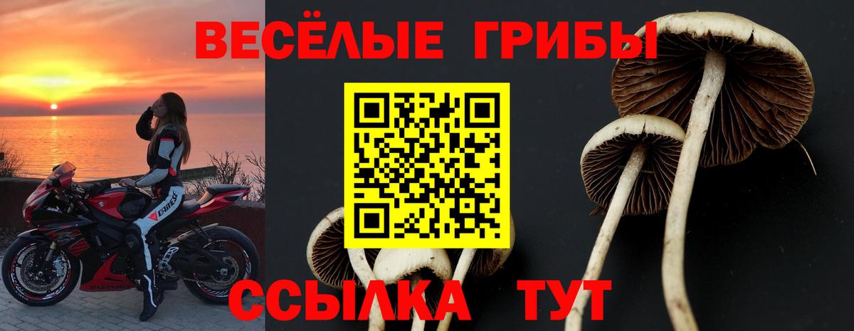 Галлюциногенные грибы Psilocybe  Вход с VPN  Качканар  Галлюциногенные грибы мухоморы 